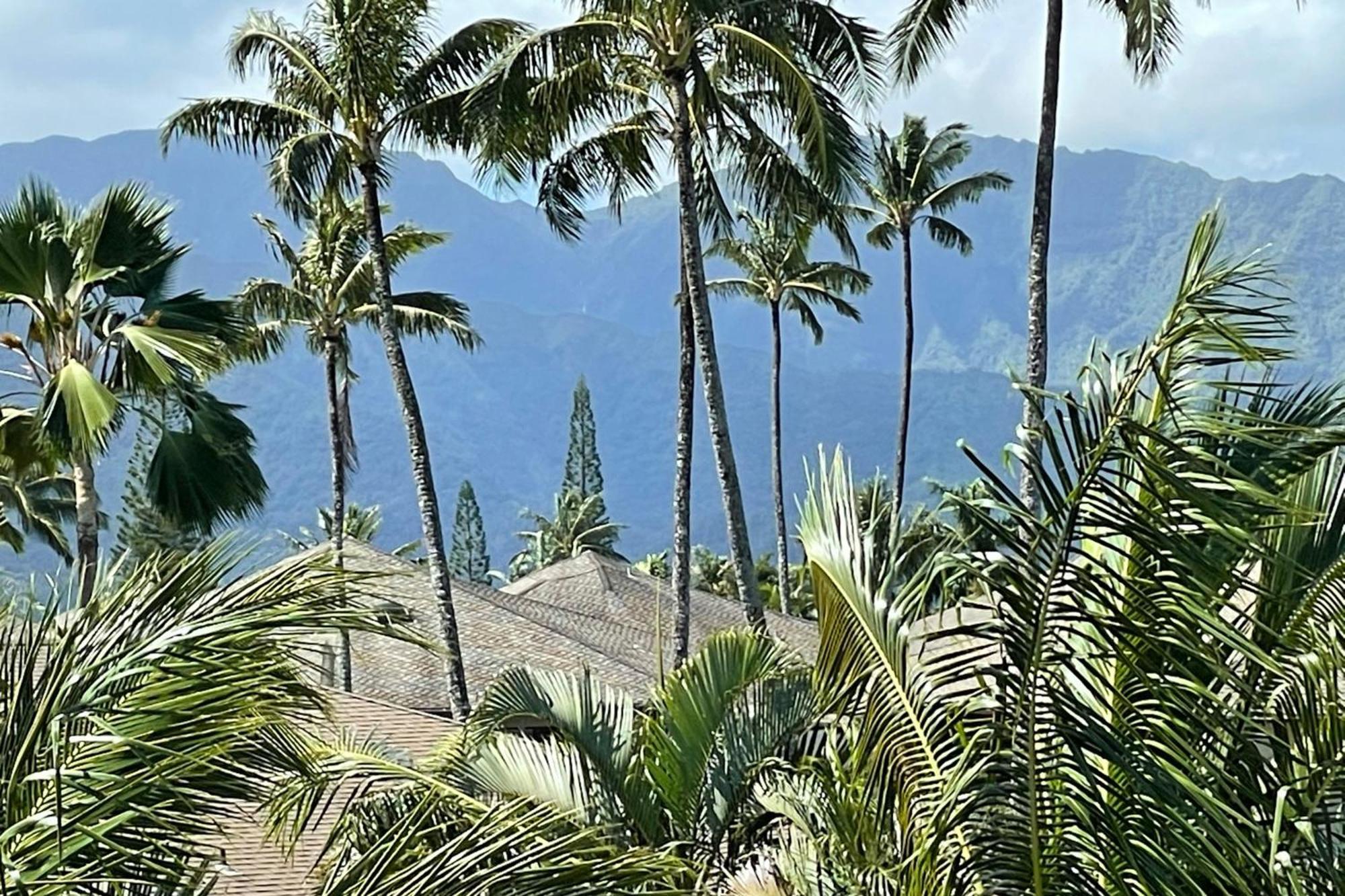 View House Tower! Villa Princeville Buitenkant foto