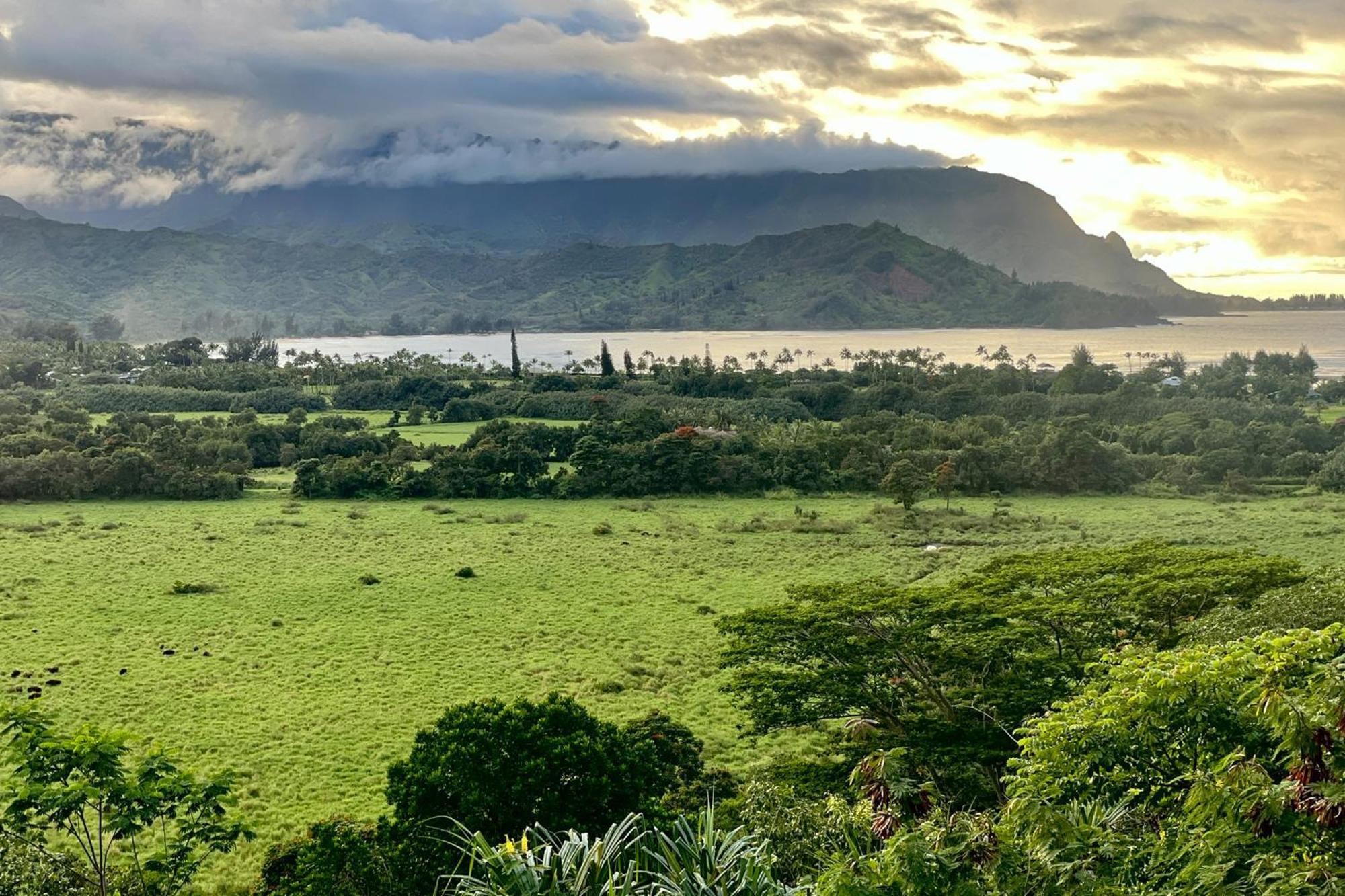 View House Tower! Villa Princeville Buitenkant foto